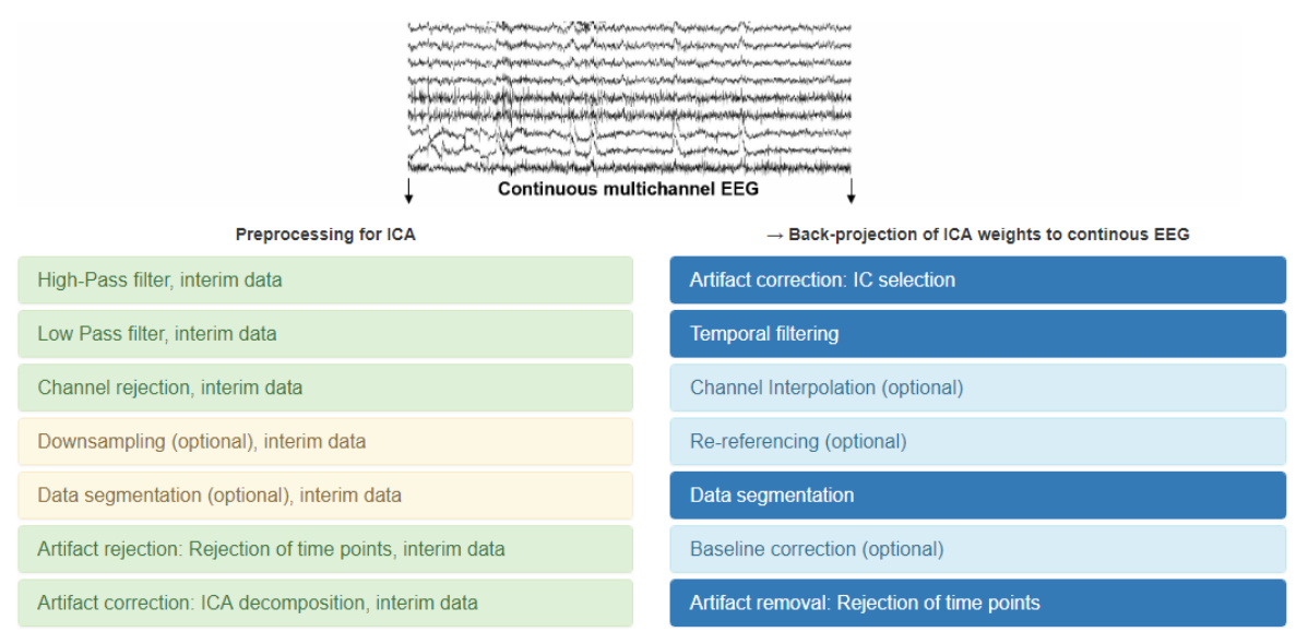 Cover image for Wie wir Gehirnströme beim Gehen untersuchen: Eine Übersicht über die Bereinigung von EEG-Daten - How We Study Brainwaves While Walking: A Review of EEG Data Cleaning